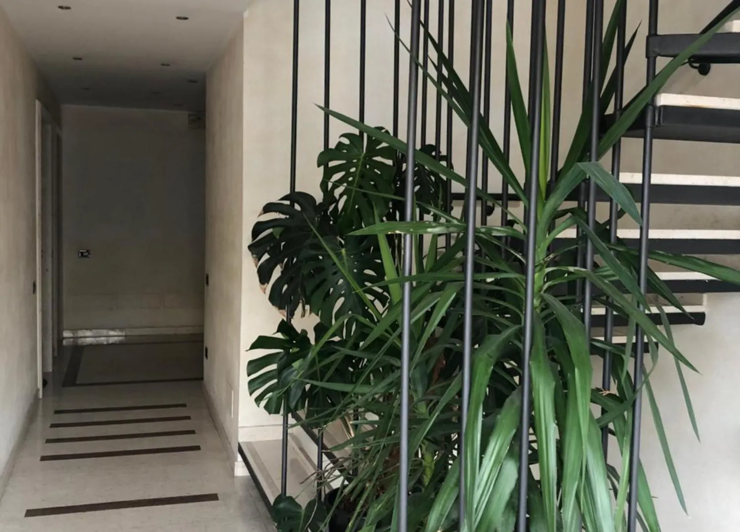 Appartamento Orchidea Mogliano Veneto Apartment